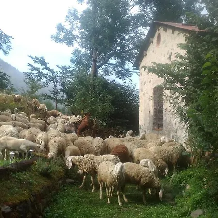 Bed & Breakfast Posto Tappa Gta Limonetto 3*